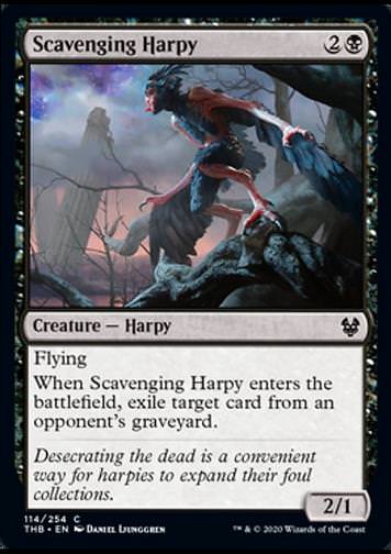 Scavenging Harpy (Aasplündernde Harpyie)